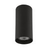 Потолочный светильник Lightstar Rullo 214487