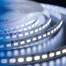 Светодиодная влагозащищенная лента DesignLed 26,8W/m 120LED/m 5730SMD холодный белый 5M 001824