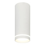 Потолочный светодиодный светильник Escada 20009SMU/02LED SWH