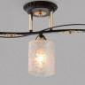 Потолочная люстра Citilux Мотив CL166131