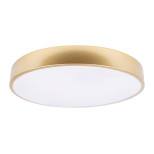 Потолочный светодиодный светильник Loft IT Flims 10228/A