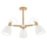 Потолочная люстра Evoluce Balcamo SLE103802-03 Потолочная люстра Evoluce Balcamo SLE103802-03