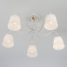 Потолочная люстра со стеклянными плафонами 70062/5 белый
