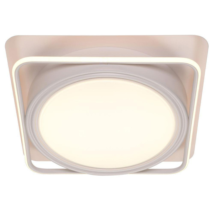 Потолочный светодиодный светильник Adilux 1041