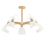 Потолочная люстра Evoluce Balcamo SLE103802-05 Потолочная люстра Evoluce Balcamo SLE103802-05