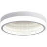 Потолочный светодиодный светильник Ambrella light Ice FA9431