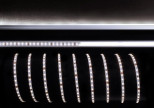 Лента светодиодная Deko-Light 3528-120-24V-4200K-3m 840156 Лента светодиодная Deko-Light 3528-120-24V-4200K-3m 840156