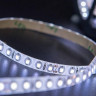 Светодиодная влагозащищенная лента SWG 9,6W/m 60LED/m 3528SMD нейтральный белый 5M 002126