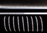 Лента светодиодная Deko-Light 3528-120-24V-4200K-5m 840160 Лента светодиодная Deko-Light 3528-120-24V-4200K-5m 840160