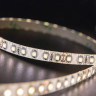 Светодиодная влагозащищенная лента SWG 9,6W/m 60LED/m 3528SMD теплый белый 5M 002125