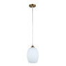 Подвесной светильник Arte Lamp Propus A4344SP-1PB