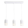 Подвесной светильник Ambrella light Techno Spot Techno family TN51698