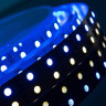 Светодиодная влагозащищенная лента DesignLed 28,8W/m 120LED/m 5050SMD разноцветный/холодный белый 5M 000514
