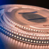 Светодиодная лента DesignLed DSG 2835 WW 168L-V24-IP33, 2700 K, 840 LED, 17W/m, 5000*10*2 mm, LUX 001821