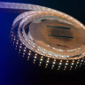Светодиодная влагозащищенная лента DesignLed 28,8W/m 120LED/m 5050SMD теплый/холодный белый 5M 000515