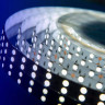 Светодиодная влагозащищенная лента DesignLed 28,8W/m 120LED/m 5050SMD холодный белый 5M 000522