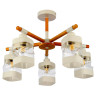 Потолочная люстра Evoluce Abiritto SLE114502-05 Потолочная люстра Evoluce Abiritto SLE114502-05
