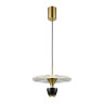 Подвесной светодиодный светильник Wertmark EBBO WE471.02.366