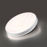 7672/DL PALE SN 204 Светильник пластик/белый LED 48Вт 4000К D380 IP43 GITUM
