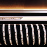 Лента светодиодная Deko-Light 3528-180-24V-3000K-3m 840037 Лента светодиодная Deko-Light 3528-180-24V-3000K-3m 840037