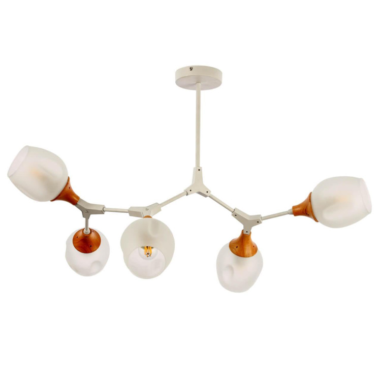 Потолочная люстра Evoluce Ciotolla SLE113502-05 Потолочная люстра Evoluce Ciotolla SLE113502-05