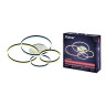 Потолочная люстра Ritter ECLIPSE 52084 3 Потолочная люстра Ritter ECLIPSE 52084 3