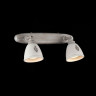 Спот Maytoni SP289-CW-02-BG