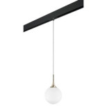 Трековый светильник Lightstar Globo (813023+595007) PRO813023