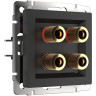 Акустическая розетка Werkel х4 черный матовый WL08-AUDIOx4 4690389063725