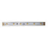Светодиодная влагозащищенная лента DesignLed 4,8W/m 60LED/m 3528SMD нейтральный белый 5M 005703