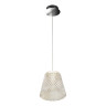 Подвесной светодиодный светильник iLedex Flora WD8007-1 CR Подвесной светодиодный светильник iLedex Flora WD8007-1 CR