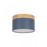 Накладной светодиодный светильник Loft IT Grape 10162 Blue