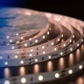 Светодиодная влагозащищенная лента DesignLed 4,8W/m 60LED/m 3528SMD теплый белый 5M 001131