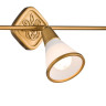 Спот Maytoni SP008-CW-03-G