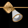Спот Maytoni SP008-CW-03-G