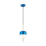 Подвесной светодиодный светильник Odeon Light Pamfa 4621/12L