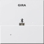Лицевая панель USB Mikro-B Gira System 55 для вставки док-станции чисто-белый шелковисто-матовый 228503