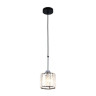 Подвесной светильник Ambrella light Traditional TR5894