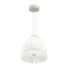 Подвесной светодиодный светильник Odeon Light Piumi 4175/57L