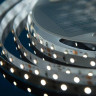 Светодиодная влагозащищенная лента DesignLed 4,8W/m 60LED/m 3528SMD холодный белый 5M 000524