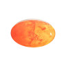 7725/DL PALE SN 120 Светильник пластик/мульти LED 48Вт 3000-6000К D375 IP43 пульт ДУ MARS