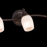 Спот Maytoni SP563-CW-03-R