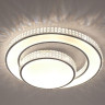 Потолочный светодиодный светильник Escada 10205/2LED
