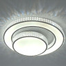 Потолочный светодиодный светильник Escada 10205/2LED