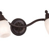 Спот Maytoni SP563-CW-02-R