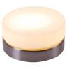 Потолочный светильник Globo Opal 48400