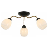 Потолочная люстра Illumico IL8193-3COU-79 BK GD