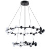 Подвесная светодиодная люстра Arte Lamp Dexter A3619SP-48BK