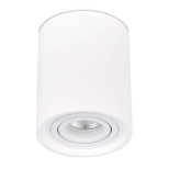 Потолочный светильник ST Luce ST156.502.01