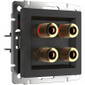Акустическая розетка Werkel черный матовый W1185008 4690389164903